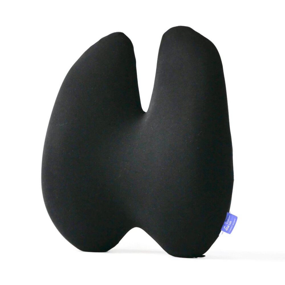 Cushion Lab - Back Relief Lumbar Pillow - Black